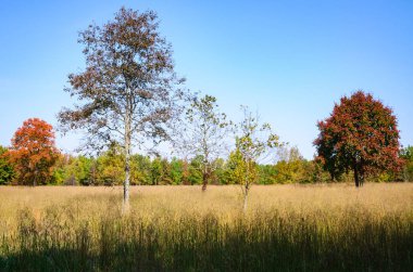 Cowpens Milli savaş Parkı