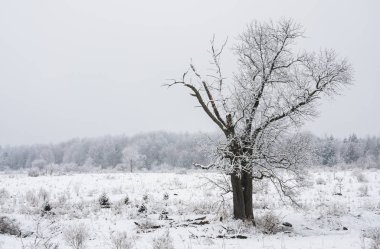 Jamestown, New York Kış aylarında