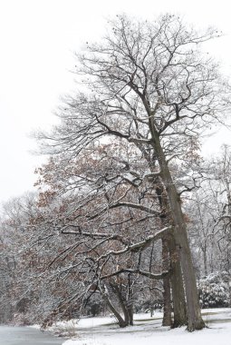 Uzun Point Devlet Parkı