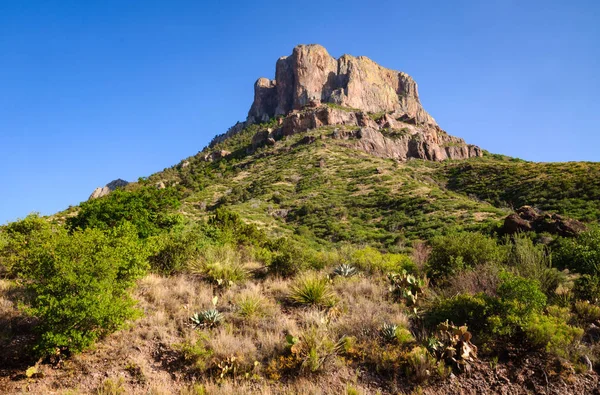 Parque Nacional Big Bend — Foto de Stock