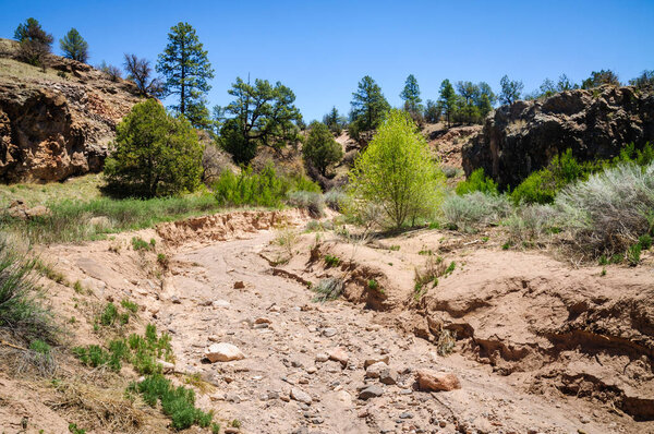 Gila Cliff Dwellings National Monument