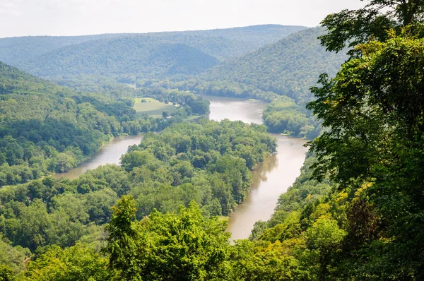 Forêt Nationale Allegheny Pennsylvanie — Photo