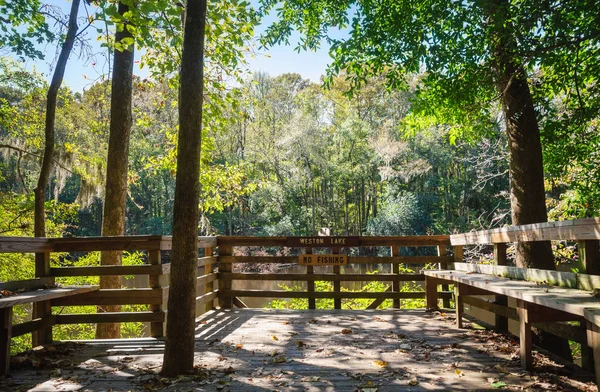Congaree Milli Parkı koru