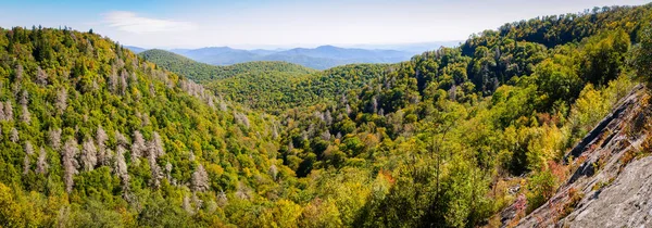 Blue Ridge Parkway Εθνική Υπηρεσία Πάρκων — Φωτογραφία Αρχείου