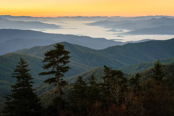 Great Smoky Mountains Nemzeti Parkban — Stock Fotó