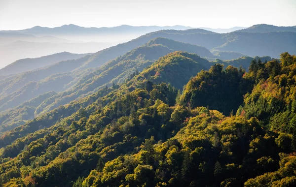 Great Smoky Mountains Nemzeti Parkban — Stock Fotó