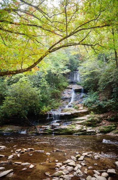 Great Smoky Mountains Nemzeti Parkban — Stock Fotó