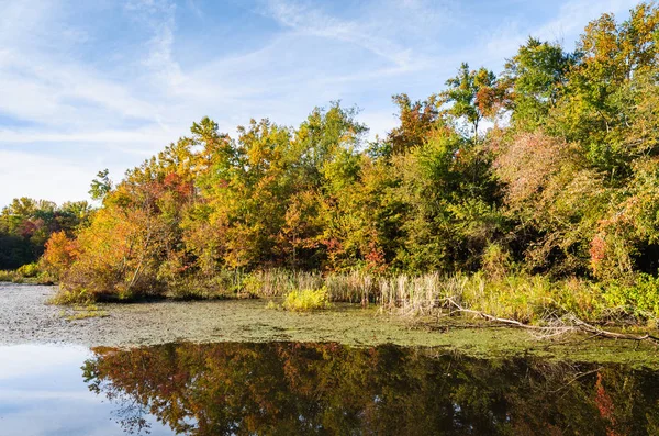 Mammoth Cave National Park — Stock Photo, Image