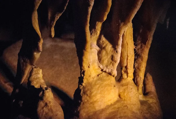Εθνικό Πάρκο Σπηλιών Μαμούθ — Φωτογραφία Αρχείου