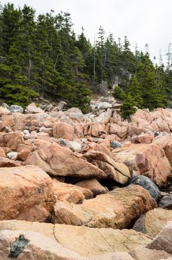 Acadia Milli Parkı, Maine