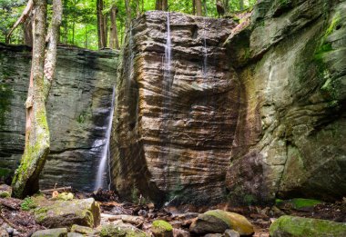 Allegheny Ulusal Ormanı, Pennsylvania 