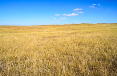 Akik fosil yataklar Ulusal Anıtı