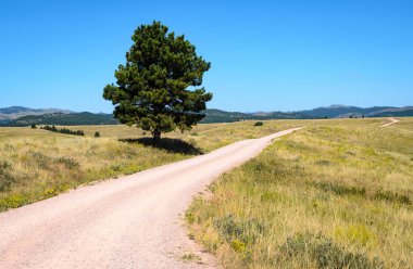 Rüzgar Mağarası Ulusal Parkı