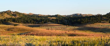 Black hills, Güney dakota