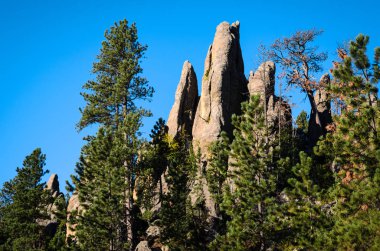 Black hills, Güney dakota