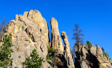 Black hills, Güney dakota