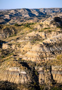 Theodore Roosevelt Ulusal Parkı