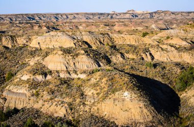 Theodore Roosevelt Ulusal Parkı