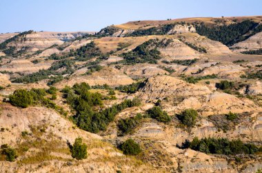 Theodore Roosevelt Ulusal Parkı