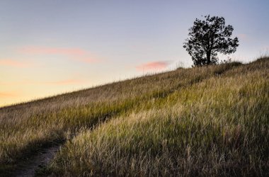 Theodore Roosevelt Ulusal Parkı