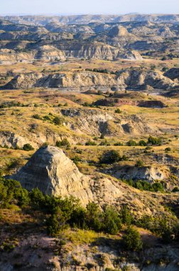 Theodore Roosevelt Ulusal Parkı