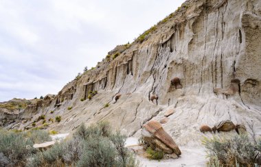 Theodore Roosevelt Ulusal Parkı