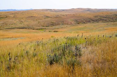 Küçük Bighorn Battlefield Ulusal Anıtı