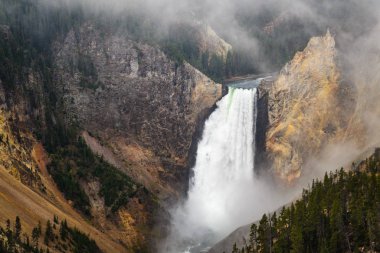 Yellowstone Ulusal Parkı, Wyoming