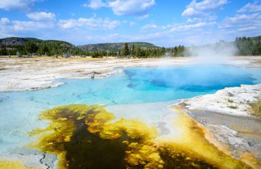 Yellowstone Ulusal Parkı, Wyoming