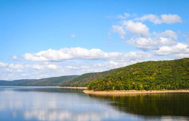 Allegheny Ulusal Ormanı, Pennsylvania