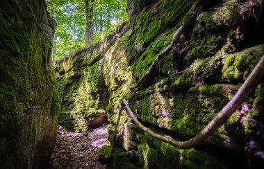 Küçük Rock kent devlet ormanı