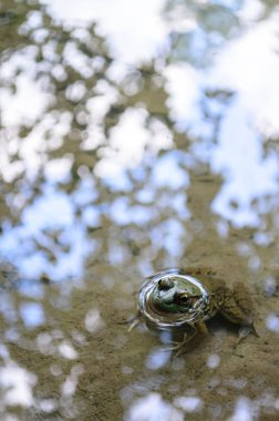 Zoar Vadisi koruma alanı