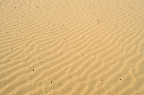 Deserto Del Maine Deserto Naturale — Foto Stock