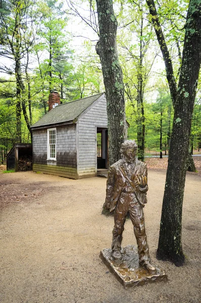 Walden Pond, Walden Woods