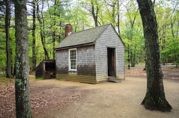 Walden Pond Walden Woods — Stockfoto