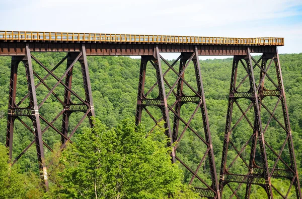 Park Stanowy Kinzua Bridge — Zdjęcie stockowe