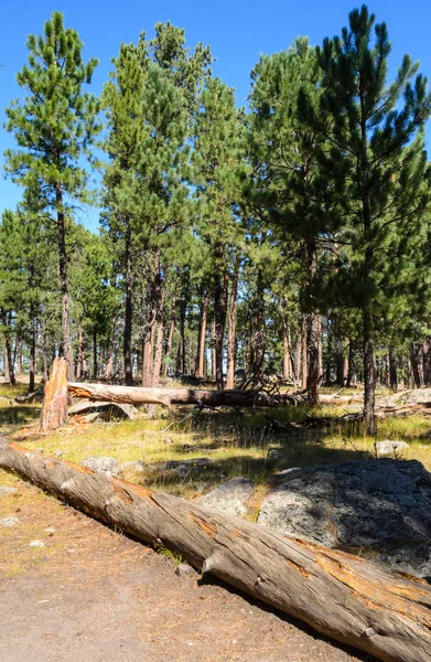 Torre Los Diablos Black Hills — Foto de Stock