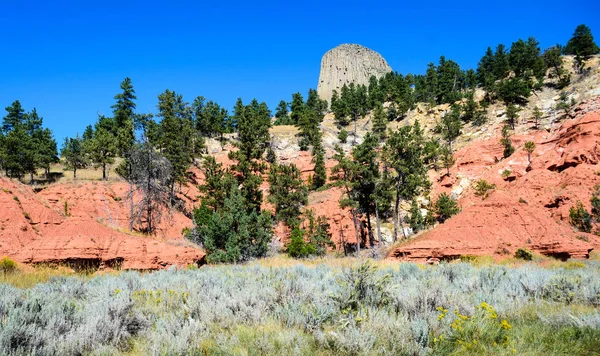 Devils Tower Black Hills — Stock Photo, Image