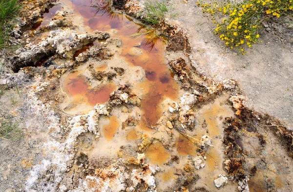 Theodore Roosevelt Ulusal Parkı