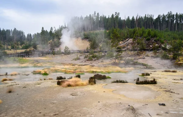 Parco Nazionale Yellowstone Wyoming — Foto Stock