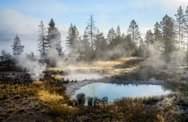 Parco Nazionale Yellowstone Wyoming — Foto Stock