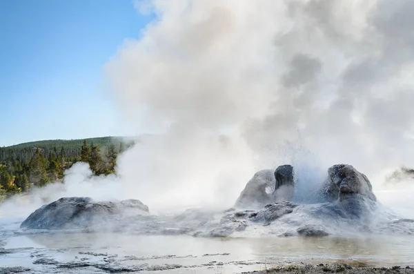 Gulstens Nationalpark Blomstrande — Stockfoto