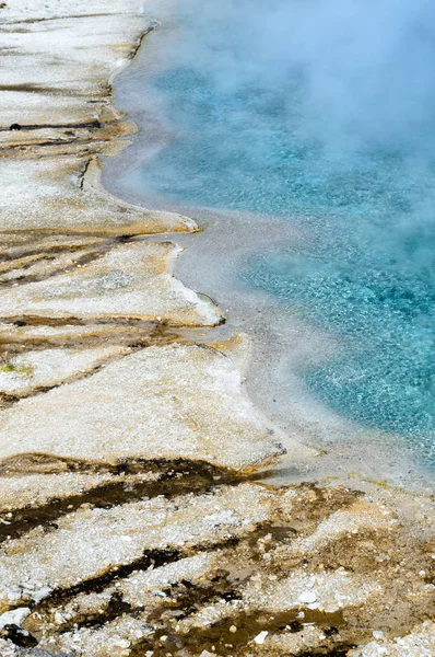 Gulstens Nationalpark Blomstrande — Stockfoto