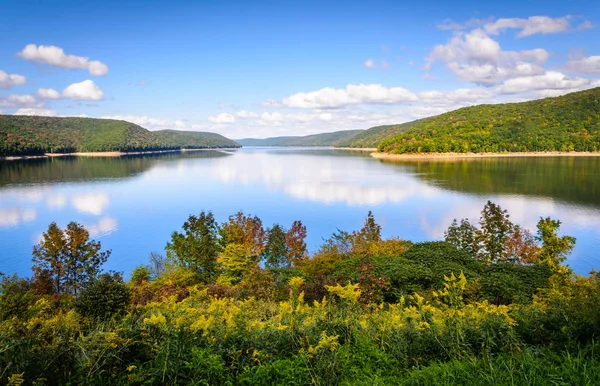 Allegheny National Forest Pennsylvania — Stock Photo, Image