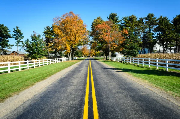 Allegheny National Forest Pennsylvania — Stockfoto