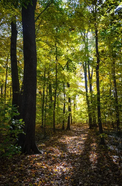 Uzun Point Devlet Parkı — Stok fotoğraf