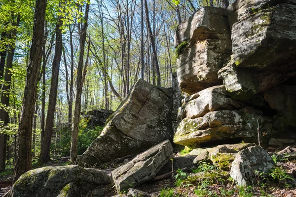 Allegany State Park Utazás — Stock Fotó