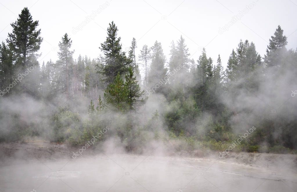 Yellowstone National Park, Wyoming