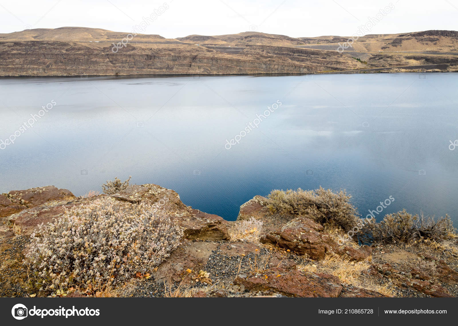 Ginkgo Petrified Forest State Park — Stock Photo © zrfphoto 210865728