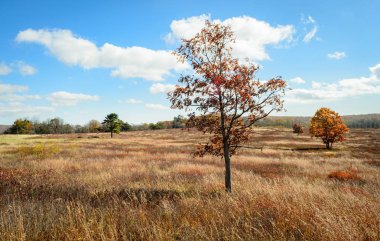 Shenandoah Milli Parkı, Blue Ridge